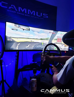 Jeu de voiture de course conduisant le simulateur avec la roue et les pédales Sim Stand