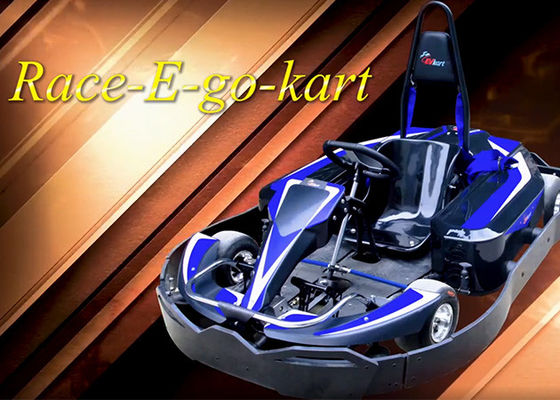 Parc Mini Racing Go Karts 4KW de divertissement écologique