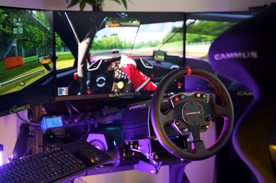 Roue de boeuf de Rig Simulator Racing Game Machine de PC avec la pédale