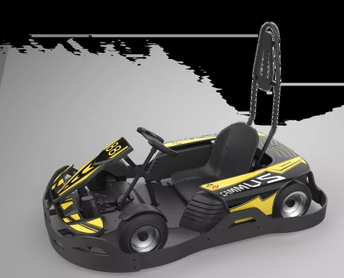 Les enfants pédalent Karting électrique vont kart, 750w l'adulte Mini Go Kart